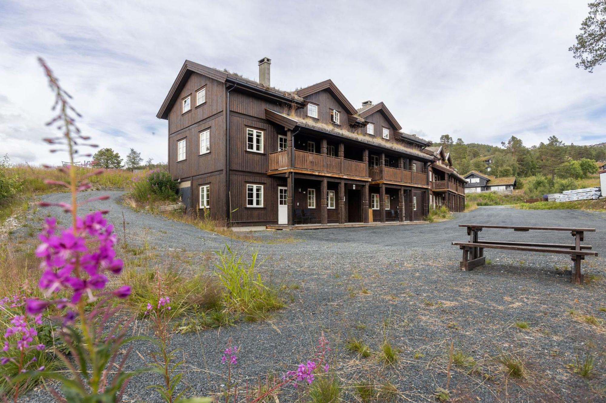 Rauland Feriesenter Villa Rum bild