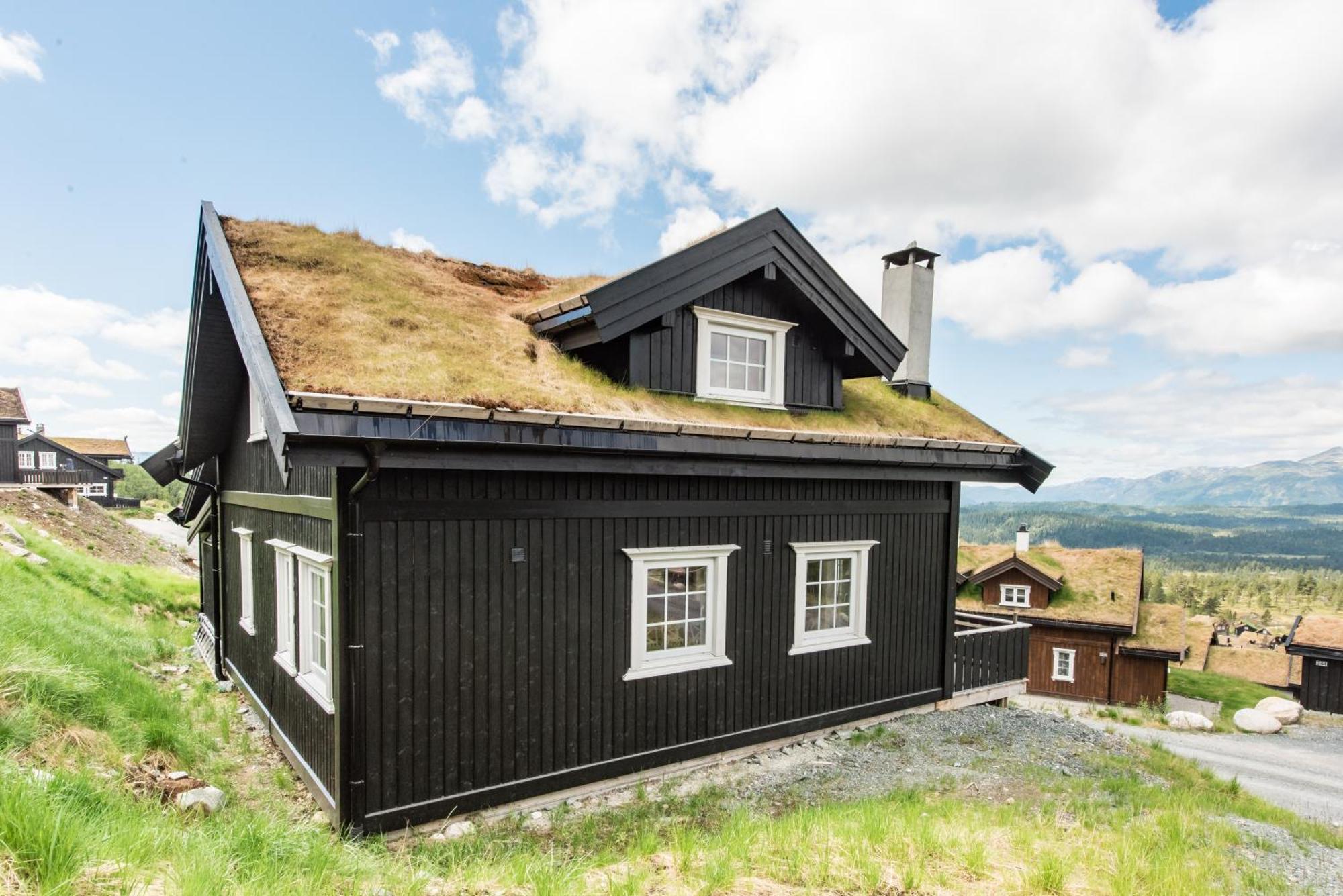 Rauland Feriesenter Villa Rum bild