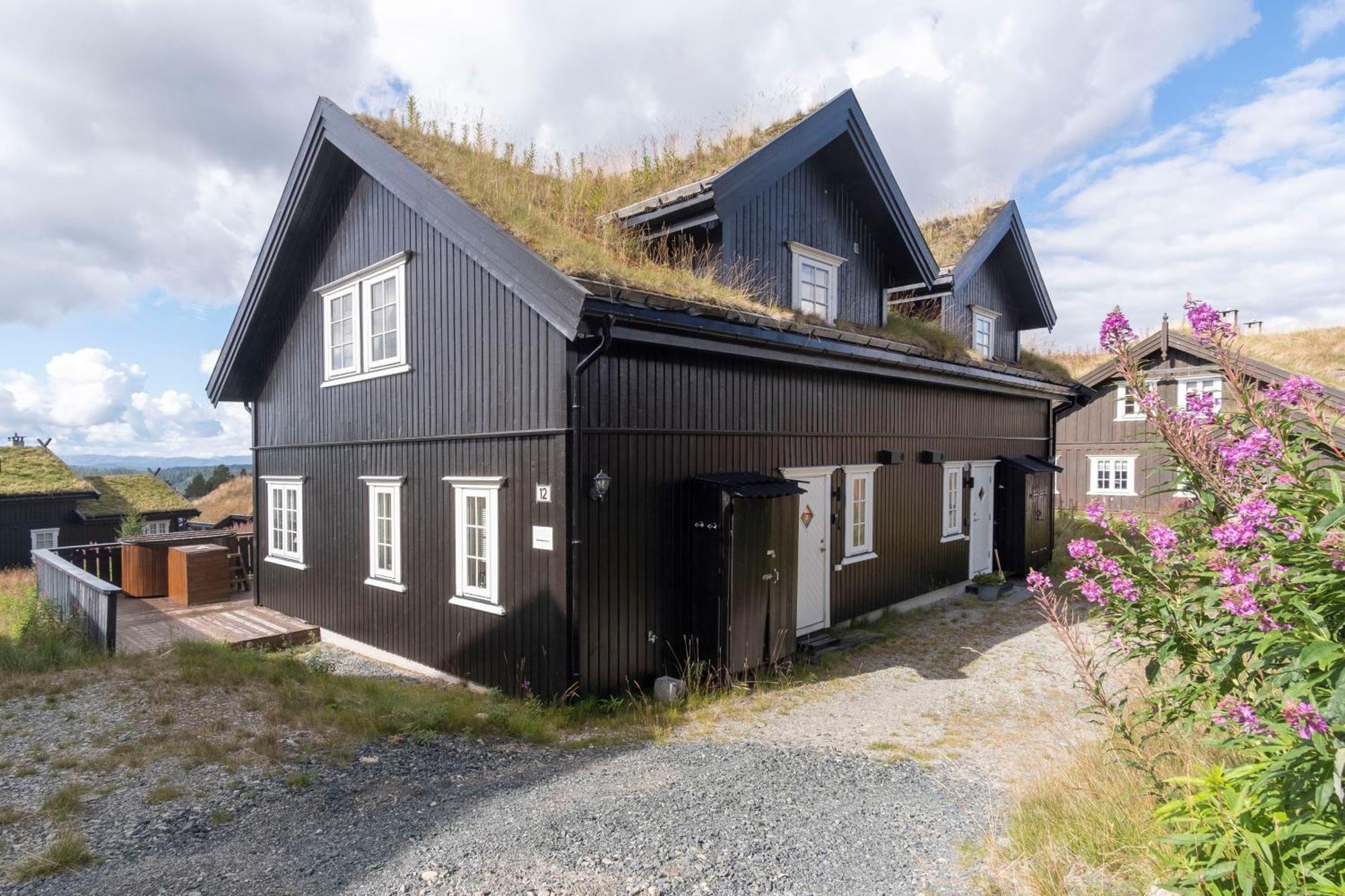 Rauland Feriesenter Villa Rum bild