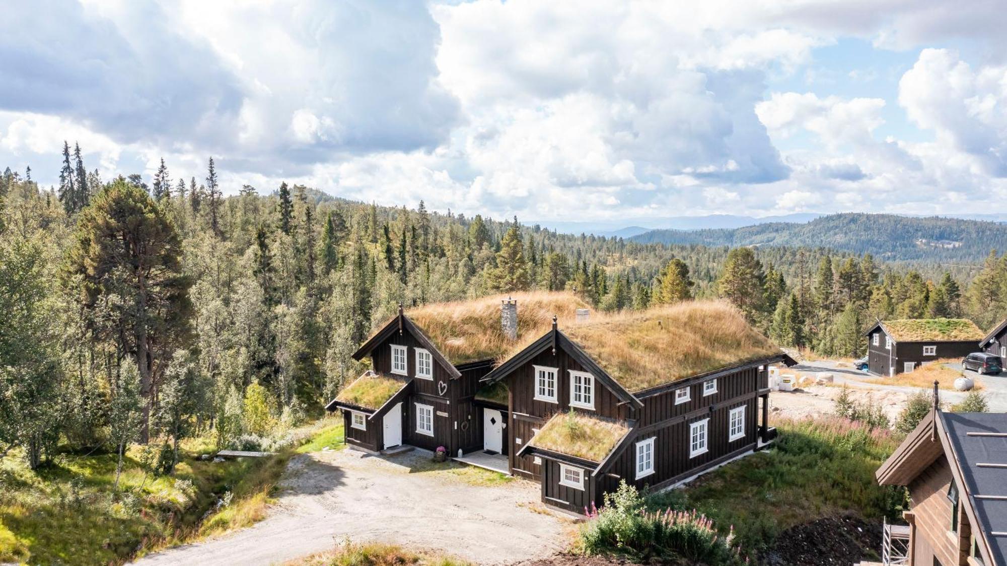 Rauland Feriesenter Villa Rum bild
