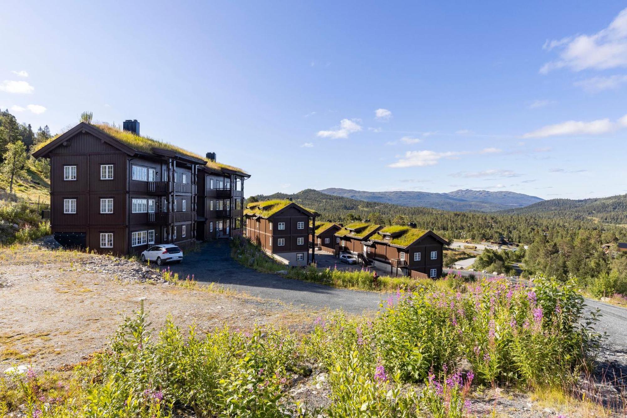 Rauland Feriesenter Villa Rum bild