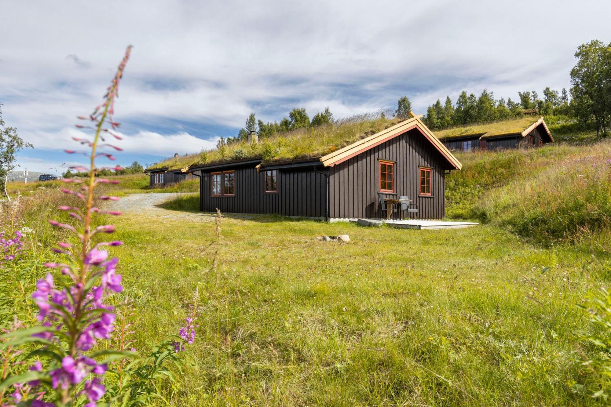 Rauland Feriesenter Villa Rum bild